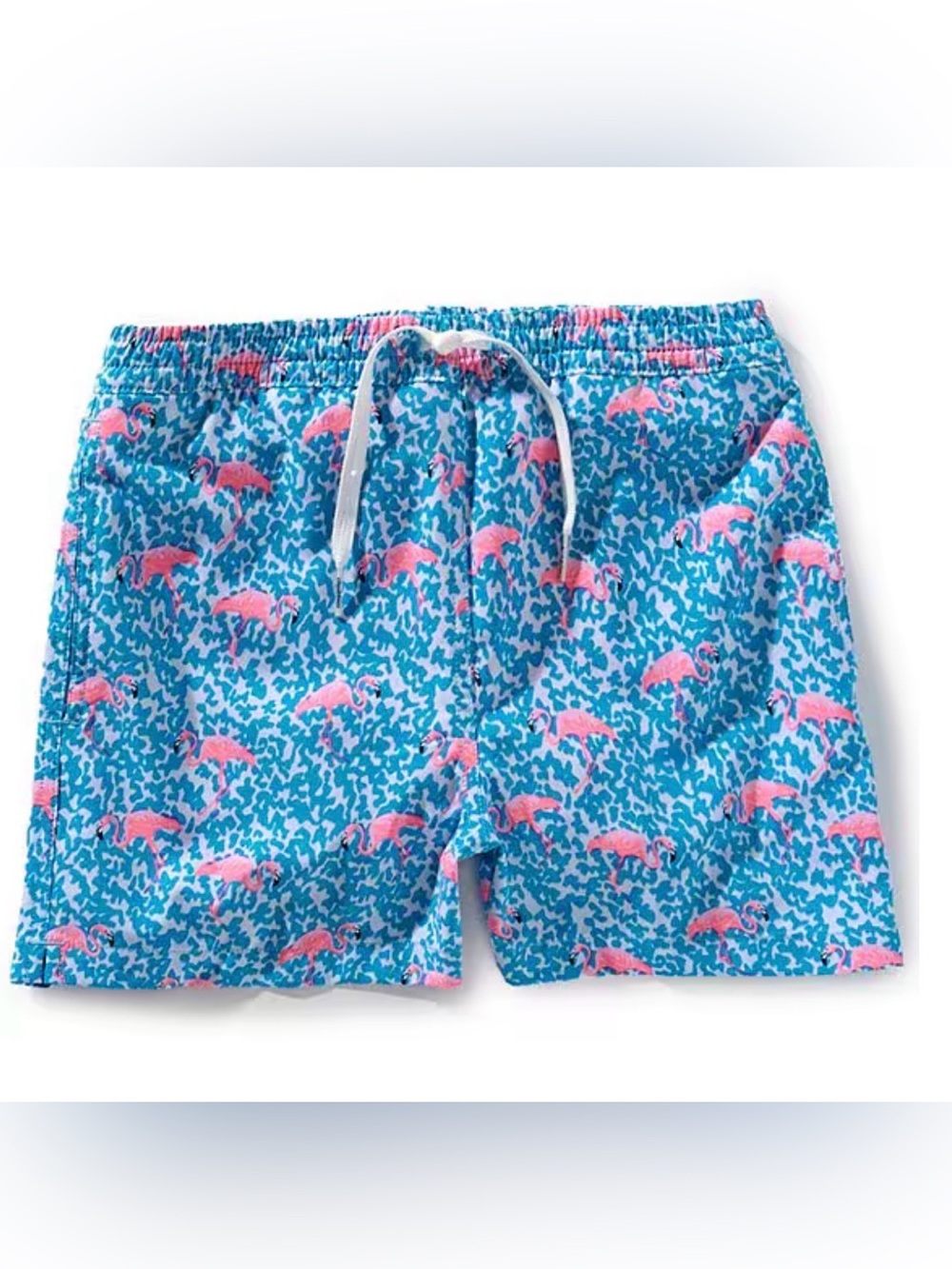 chubbies Swim Trunks
